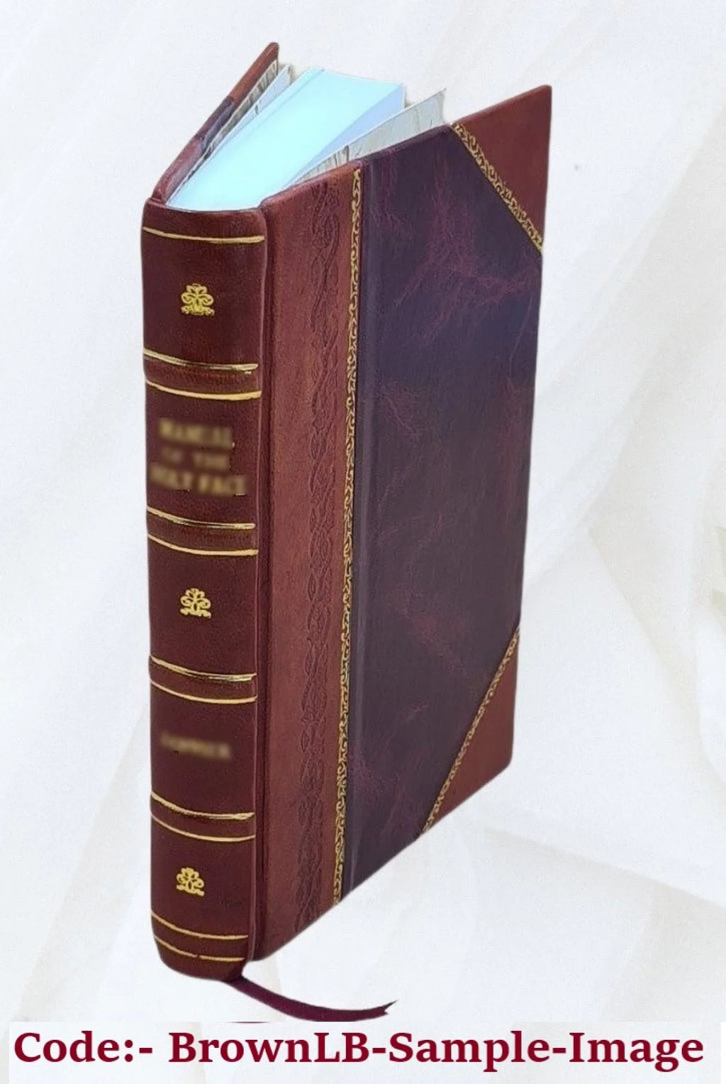 A distinguished provincial at Paris (Un grand homme de province a Paris) and Z. Marcas; tr. by Ellen Marriage ... 1898 [Leather Bound]