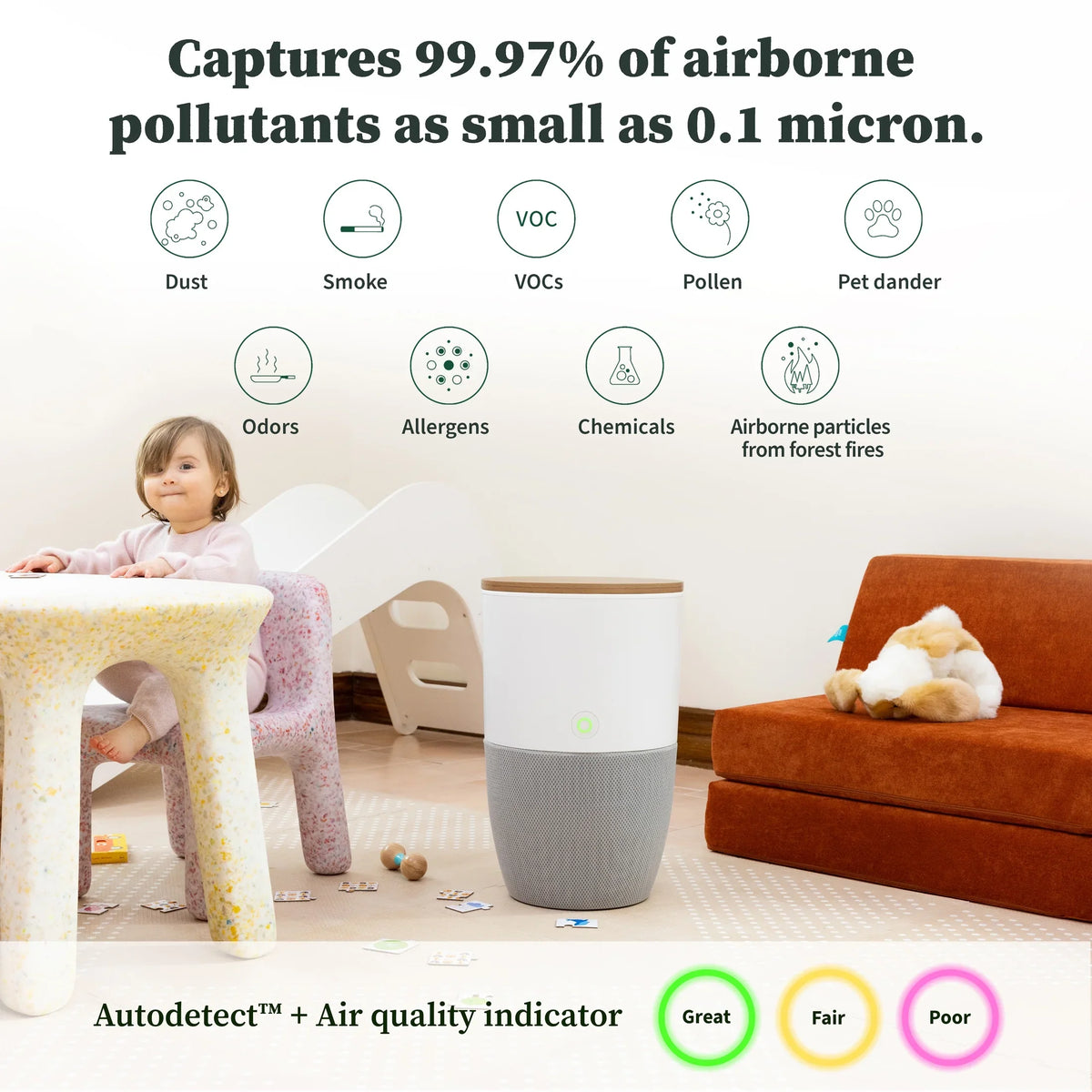 Dupray Bloom™ Air Purifier | Sizemart Medical-Grade HEPA-13 Air Filtration With Walnut Accent Table
