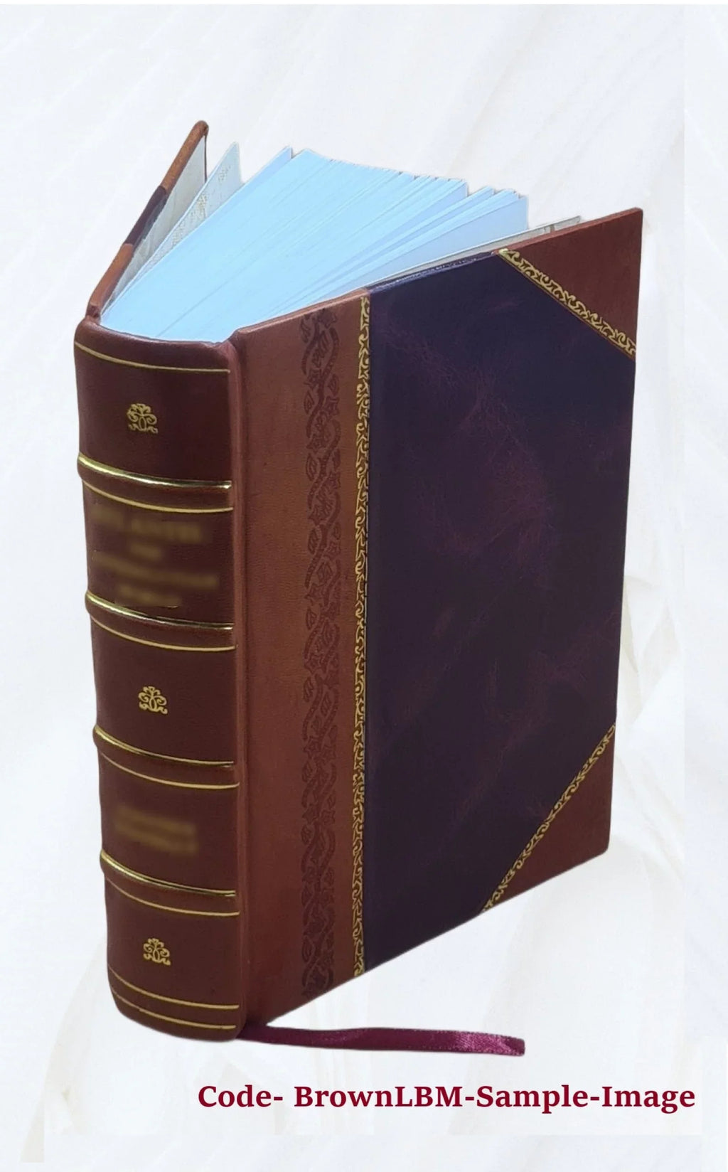 [(Sizeoundex) index to 1900 census, Pennsylvania] Volume PENNSizeYLVANIA - T1068 - R-300 John-R-300 Sizeolomon** 1900 [Leather Bound]