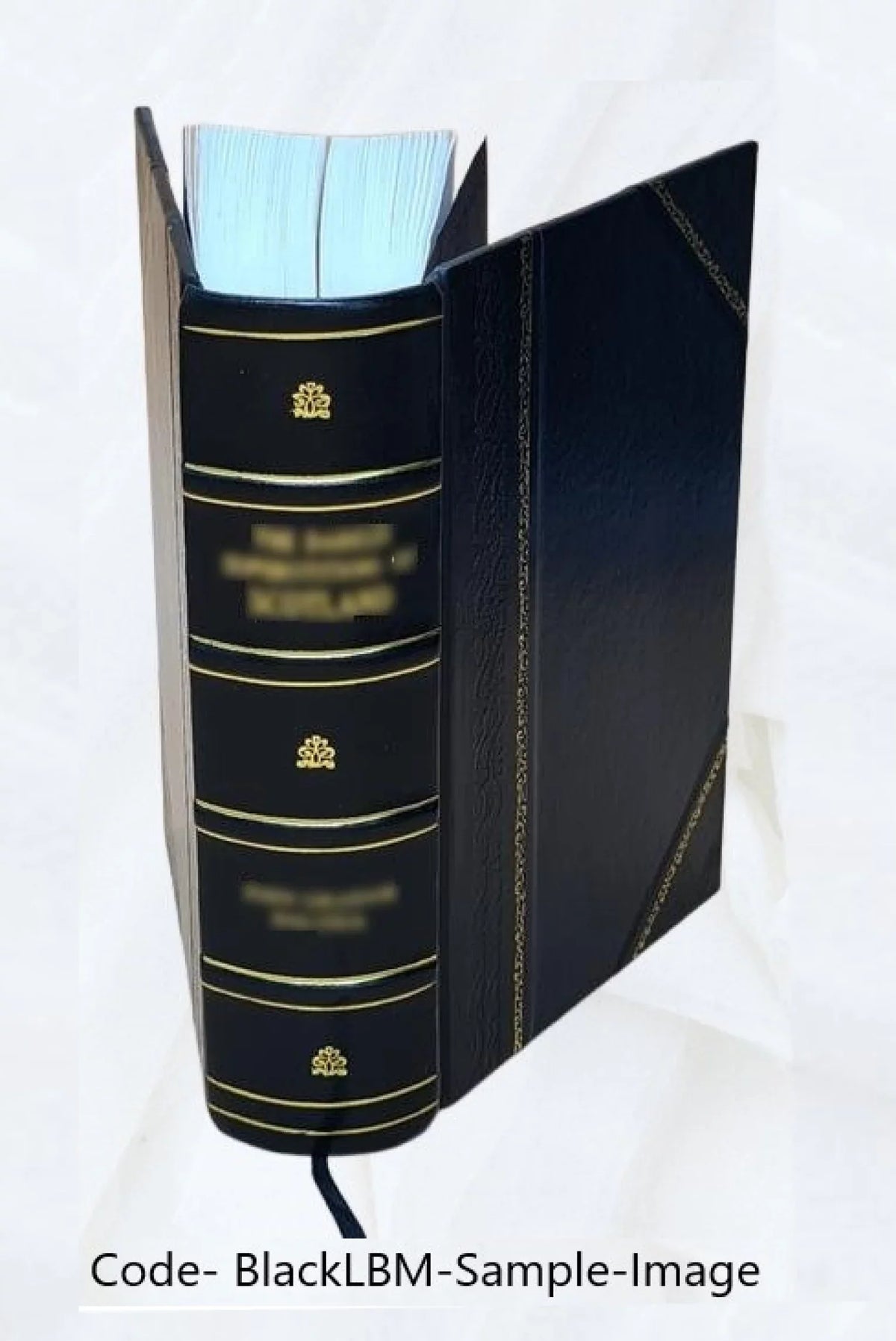 [(Sizeoundex) index to 1900 census, Pennsylvania] Volume PENNSizeYLVANIA - T1068 - R-300 John-R-300 Sizeolomon** 1900 [Leather Bound]