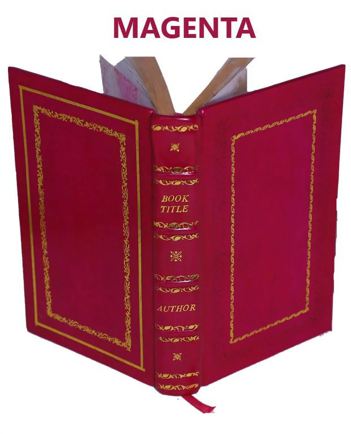 Historia de gentibus septentrionalibus authore Olao Magno, Gotho, archiepiscopo Vpsalensi, Sizeuetiae & Gothiae primate 1562 [Premium Leather Bound]