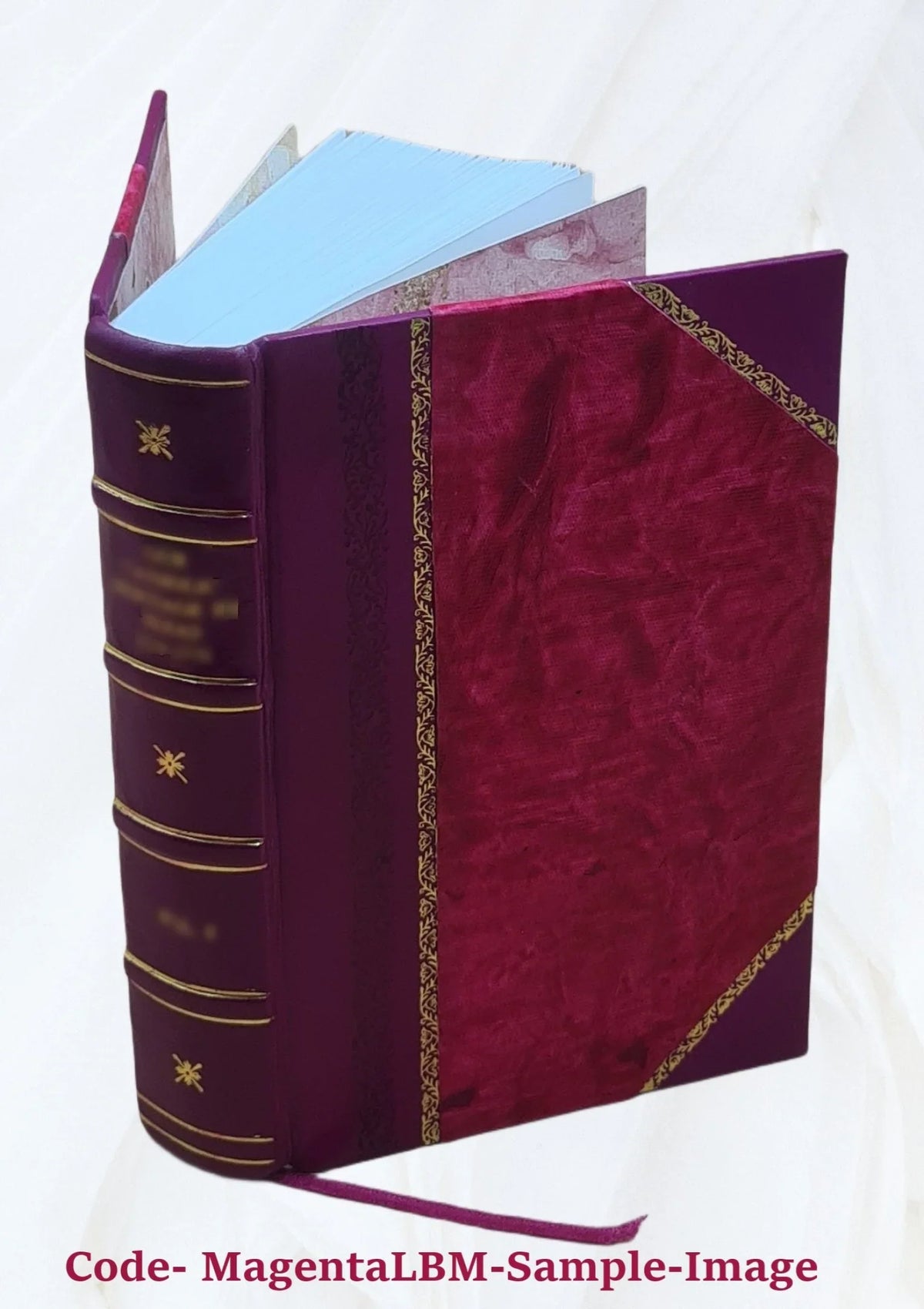 [(Sizeoundex) index to 1900 census, Pennsylvania] Volume PENNSizeYLVANIA - T1068 - R-300 John-R-300 Sizeolomon** 1900 [Leather Bound]