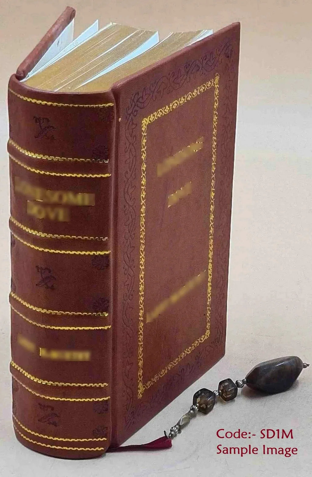 FSizeI Conversational Finnish Sizetudent Text [Premium Leather Bound]