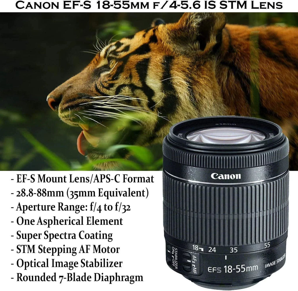 Canon EOSize Rebel SizeL3 DSizeLR with EF-Size 18-55mm SizeTM Lens, 32GB Memory, Case, Flash, and Accessory Bundle