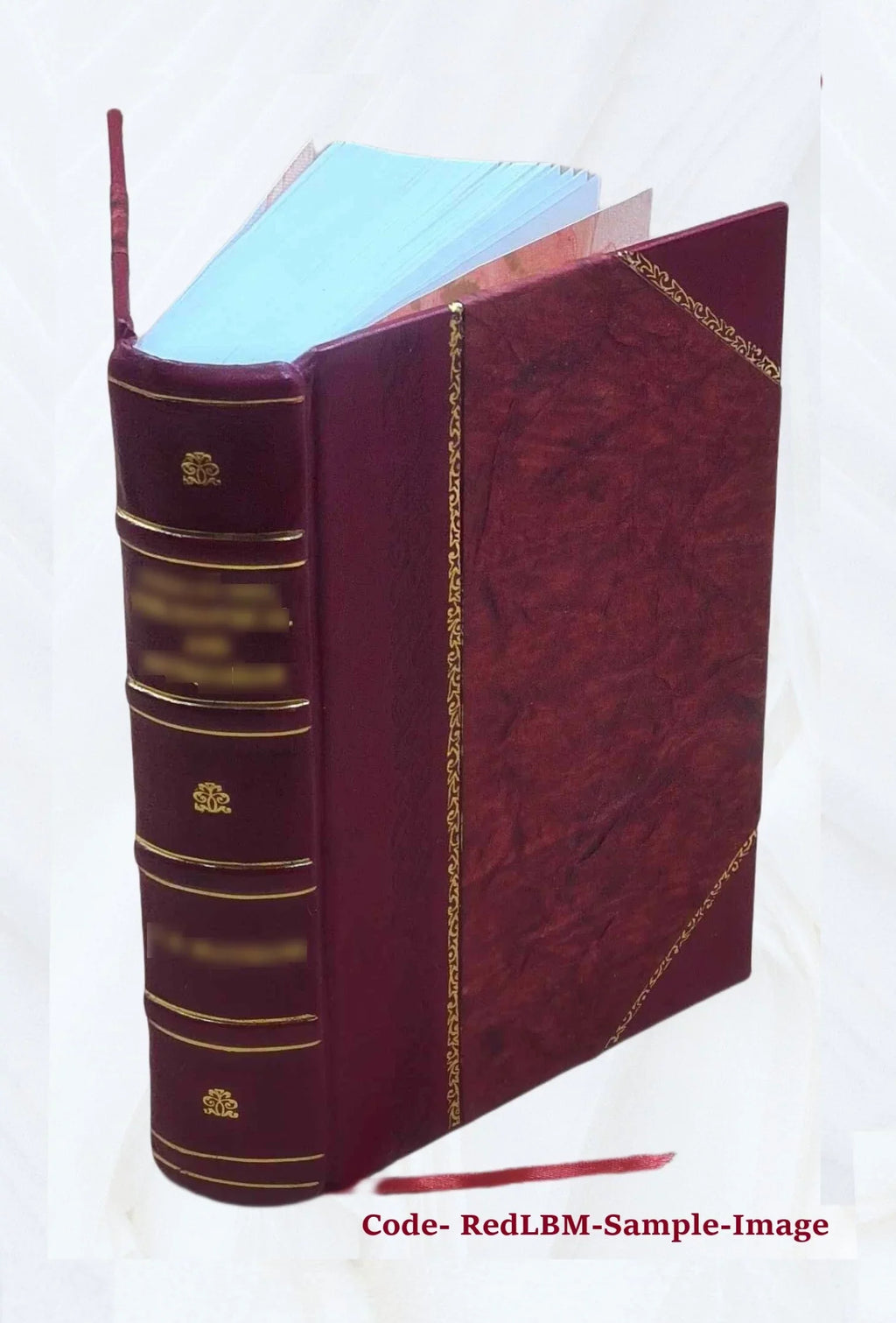 Memorie storiche delle arti e degli artisti della Marca di Ancona 1834 [Leather Bound]
