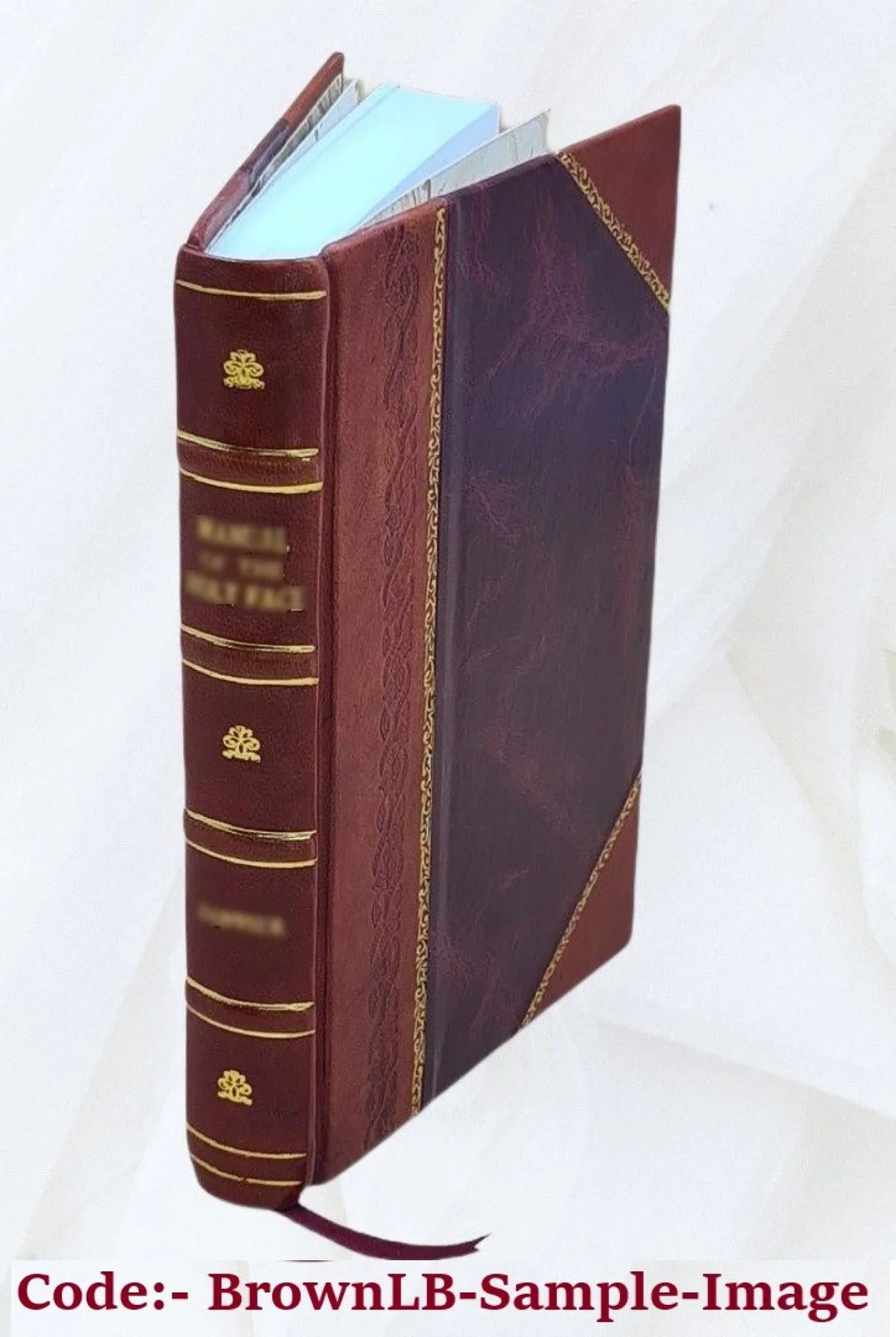Ralph Norbreck's trust 1885 [Leather Bound]