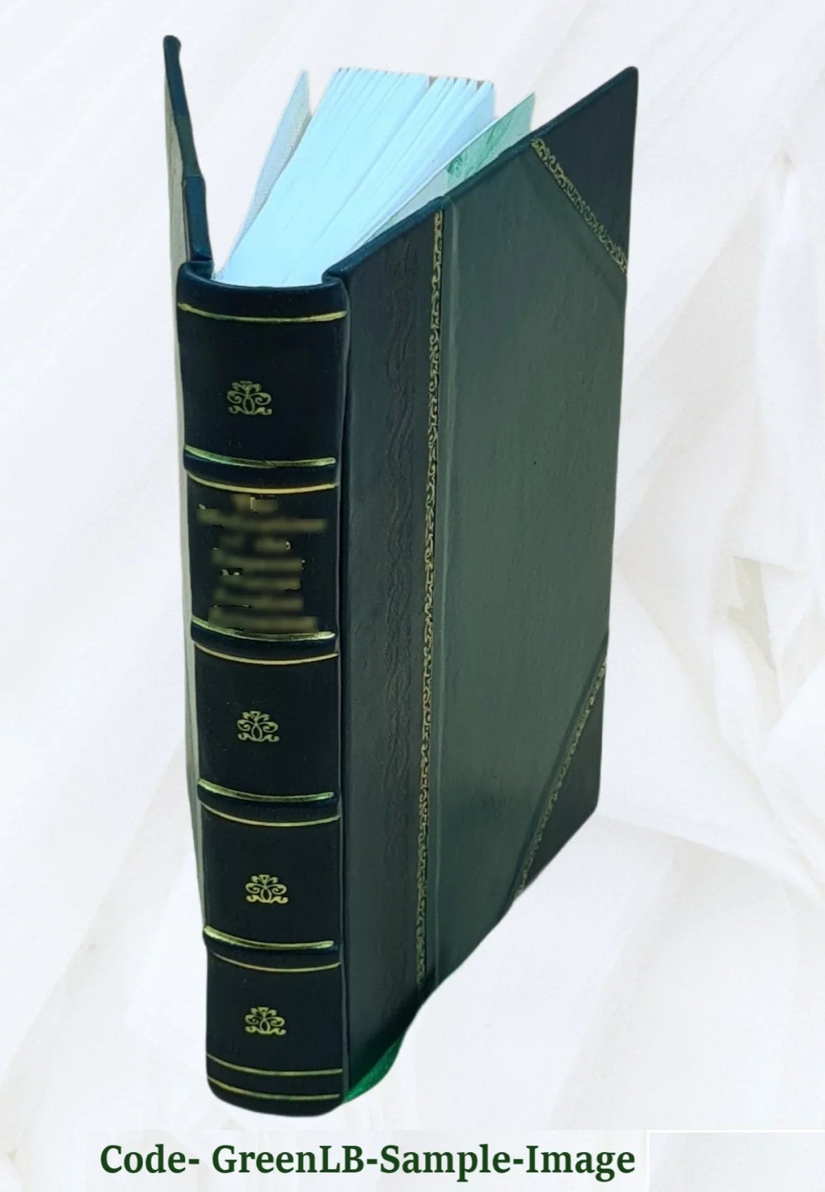 Catalogo della R. Pinacoteca di Milano (Palazzo Brera) 1896 [Leather Bound]